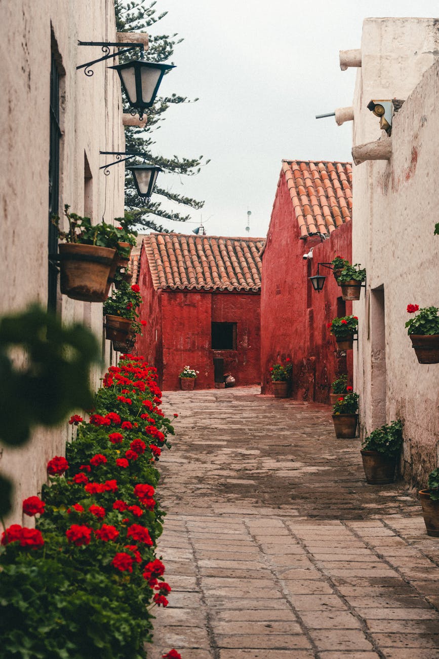 narrow alley in town